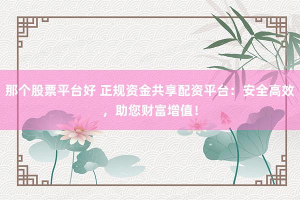 那个股票平台好 正规资金共享配资平台：安全高效，助您财富增值！