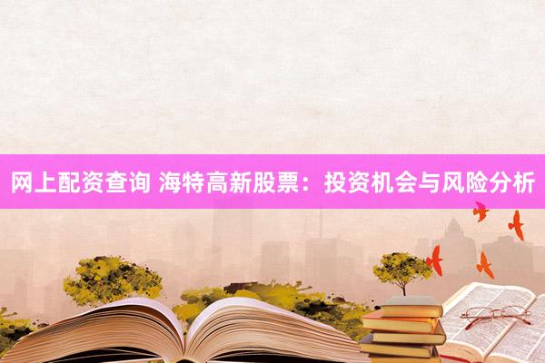 网上配资查询 海特高新股票：投资机会与风险分析