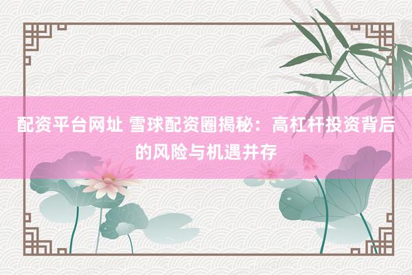 配资平台网址 雪球配资圈揭秘：高杠杆投资背后的风险与机遇并存