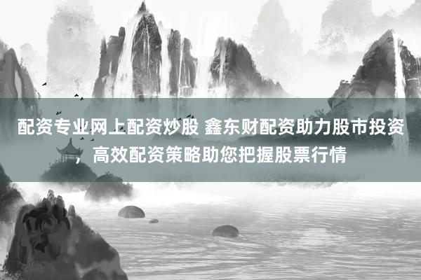 配资专业网上配资炒股 鑫东财配资助力股市投资，高效配资策略助您把握股票行情