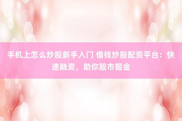 手机上怎么炒股新手入门 借钱炒股配资平台：快速融资，助你股市掘金