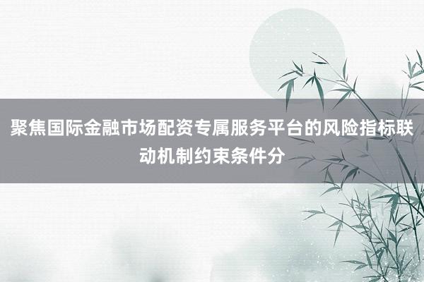 聚焦国际金融市场配资专属服务平台的风险指标联动机制约束条件分
