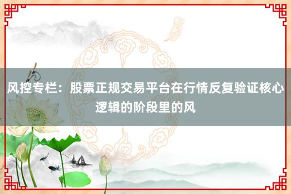 风控专栏：股票正规交易平台在行情反复验证核心逻辑的阶段里的风