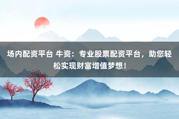 场内配资平台 牛资：专业股票配资平台，助您轻松实现财富增值梦想！