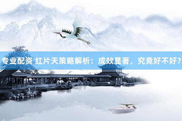 专业配资 红片天策略解析：成效显著，究竟好不好？