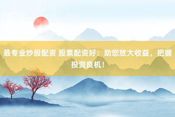最专业炒股配资 股票配资好：助您放大收益，把握投资良机！