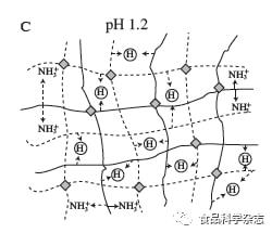 食品科学 中国农业大学毛立科副教授等 复配海藻酸盐凝胶作为传递体系的研究进展