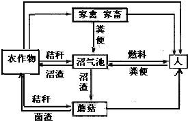 为研究影响某种植物光合速率的因素.科研人员进行了相关实验.请据图回答 1 表为不同温度条件下光合速率随光照强度变化而变化的数据记录表.当温度为20 .光照强度大于