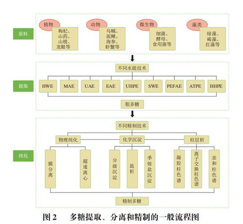 食品科学 河北农业大学郭明珠副教授等 多糖的精制及环磷酰胺减毒增效机制研究进展