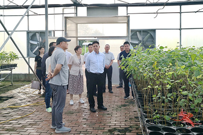 广西农业职业技术大学领导带队到广西蚕桑良种繁育与试验示范基地调研