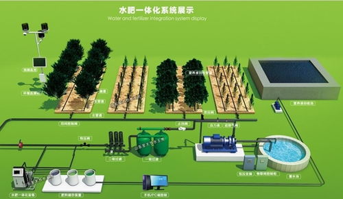 合川老农民 我们到底需要什么样的农业现代化