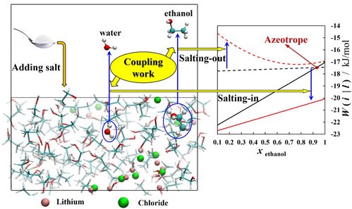 北理工课题组在溶液热力学性质的理论计算领域取得重要研究进展